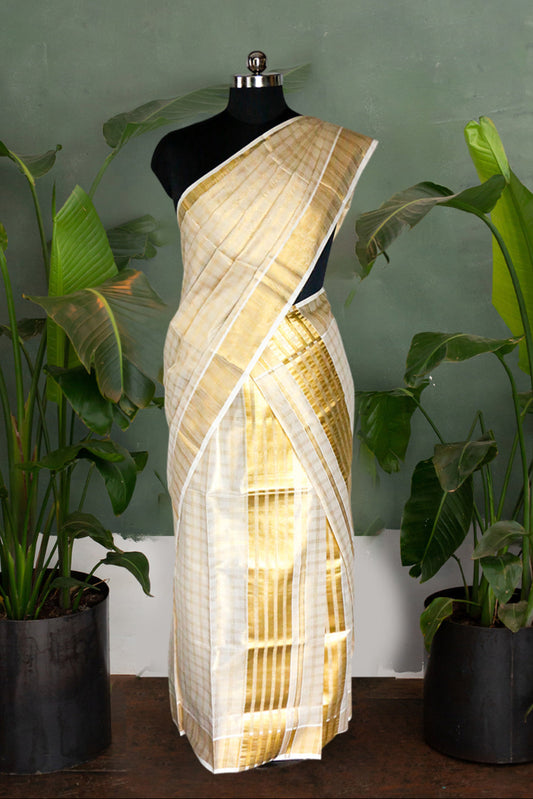 Saree on a mannequin with plants in the background