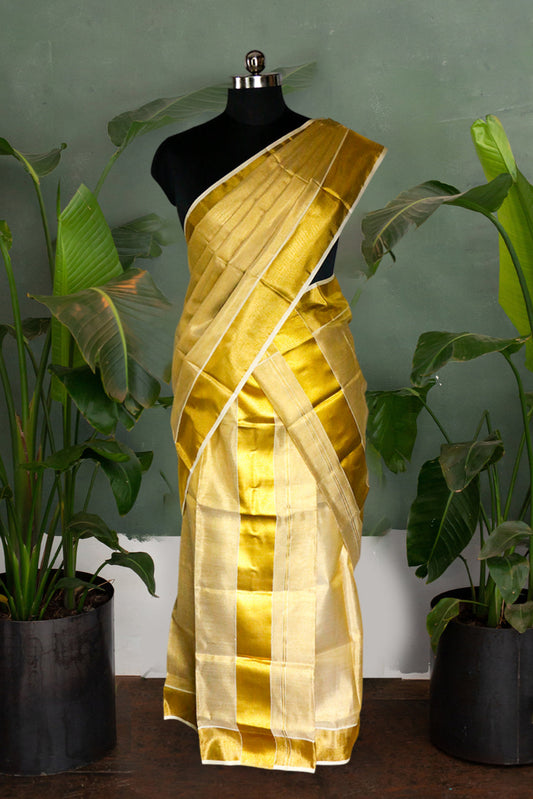 Gold saree on a mannequin with green plants in the background